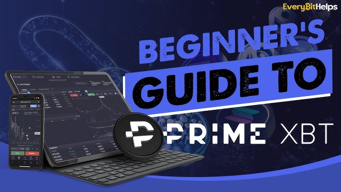 Exploring the Features of Hub PrimeXBT MX Exploring the Features of Hub PrimeXBT MX